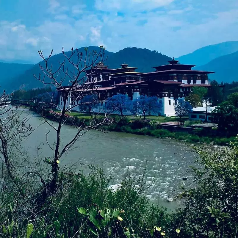 Bhutan Travel Story: Journey into the Land of the Thunder Dragon