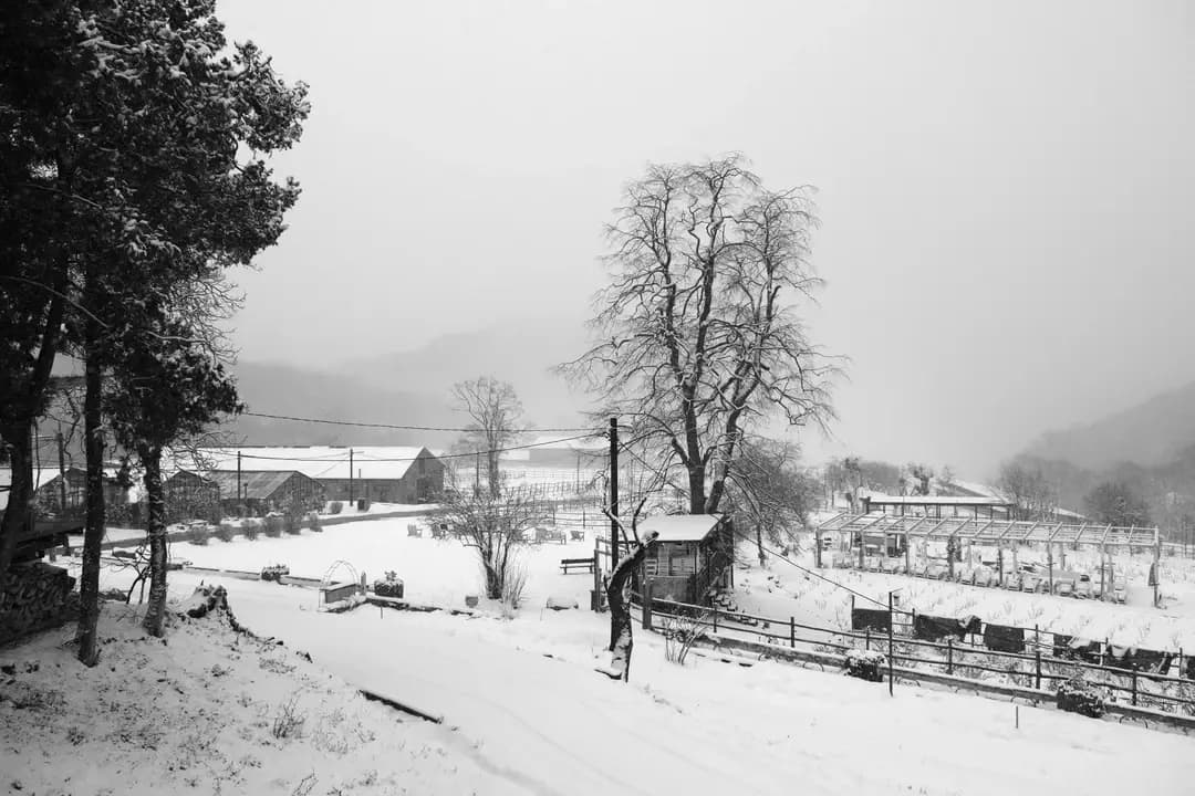 My First Snow Experience in Georgia : A Malayali Traveller's Journey from Abu Dhabi