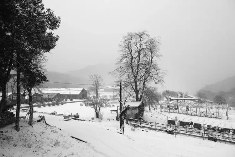 My First Snow Experience in Georgia : A Malayali Traveller's Journey from Abu Dhabi
