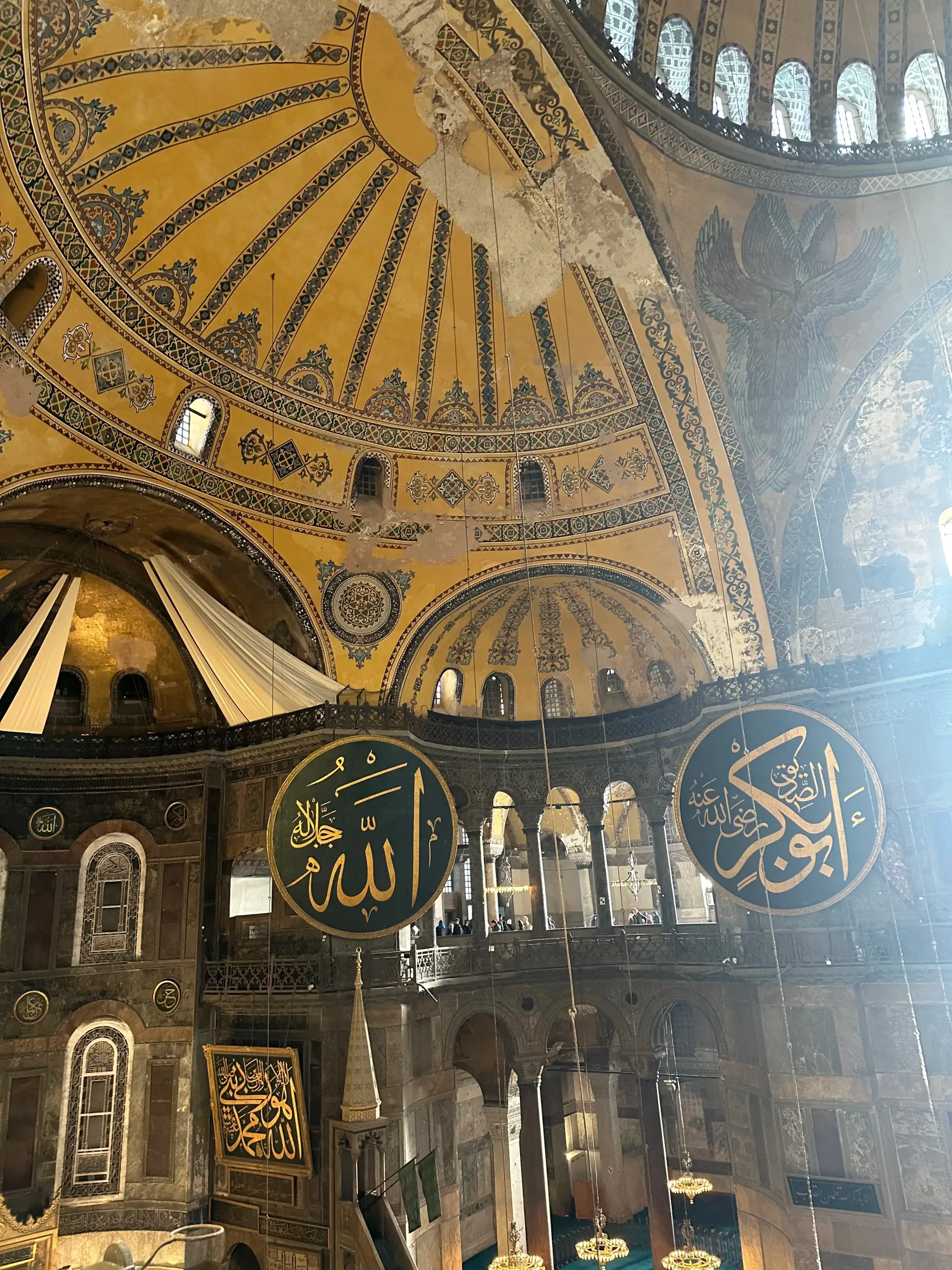 Gallery 6