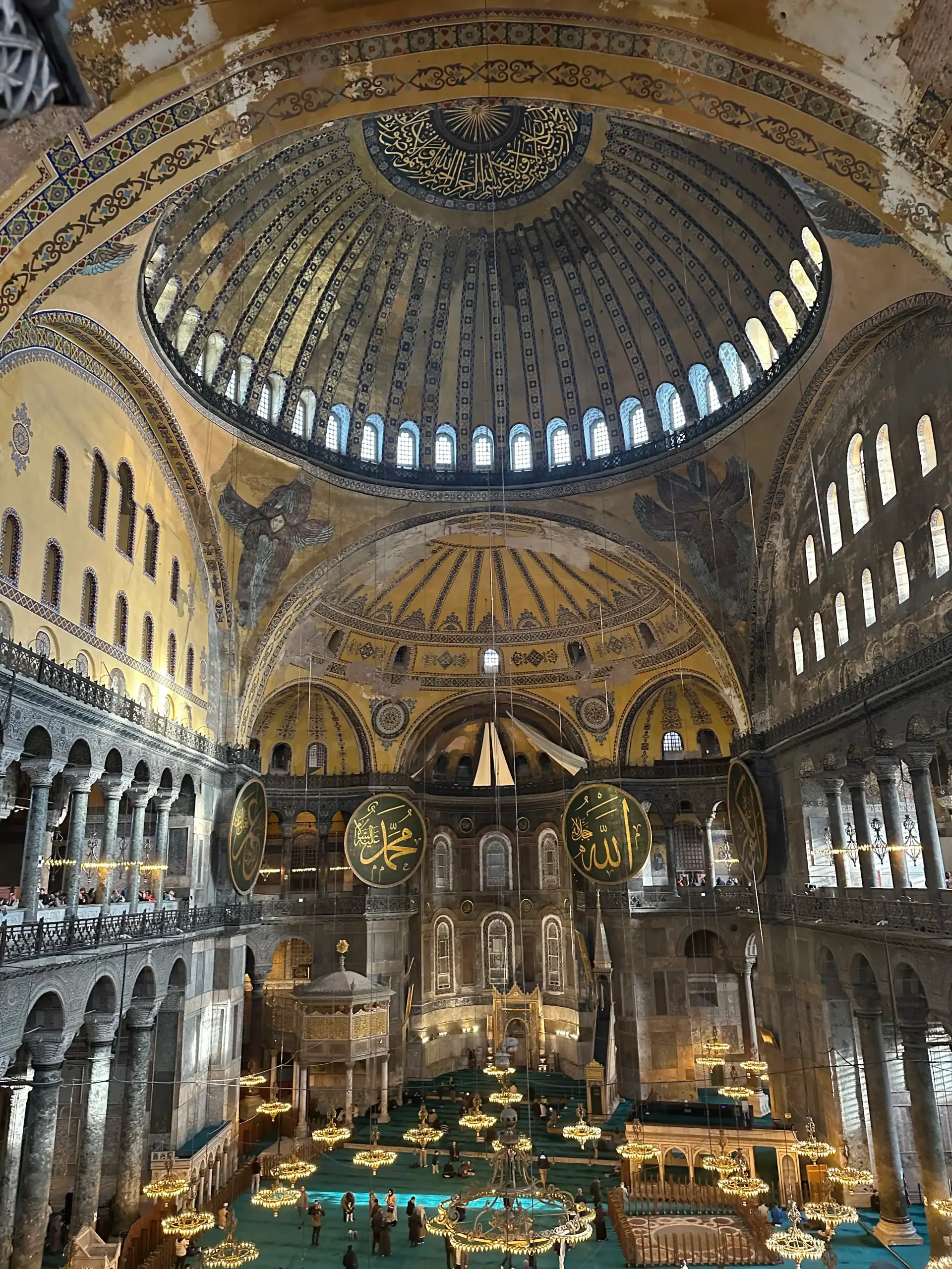 Gallery 11