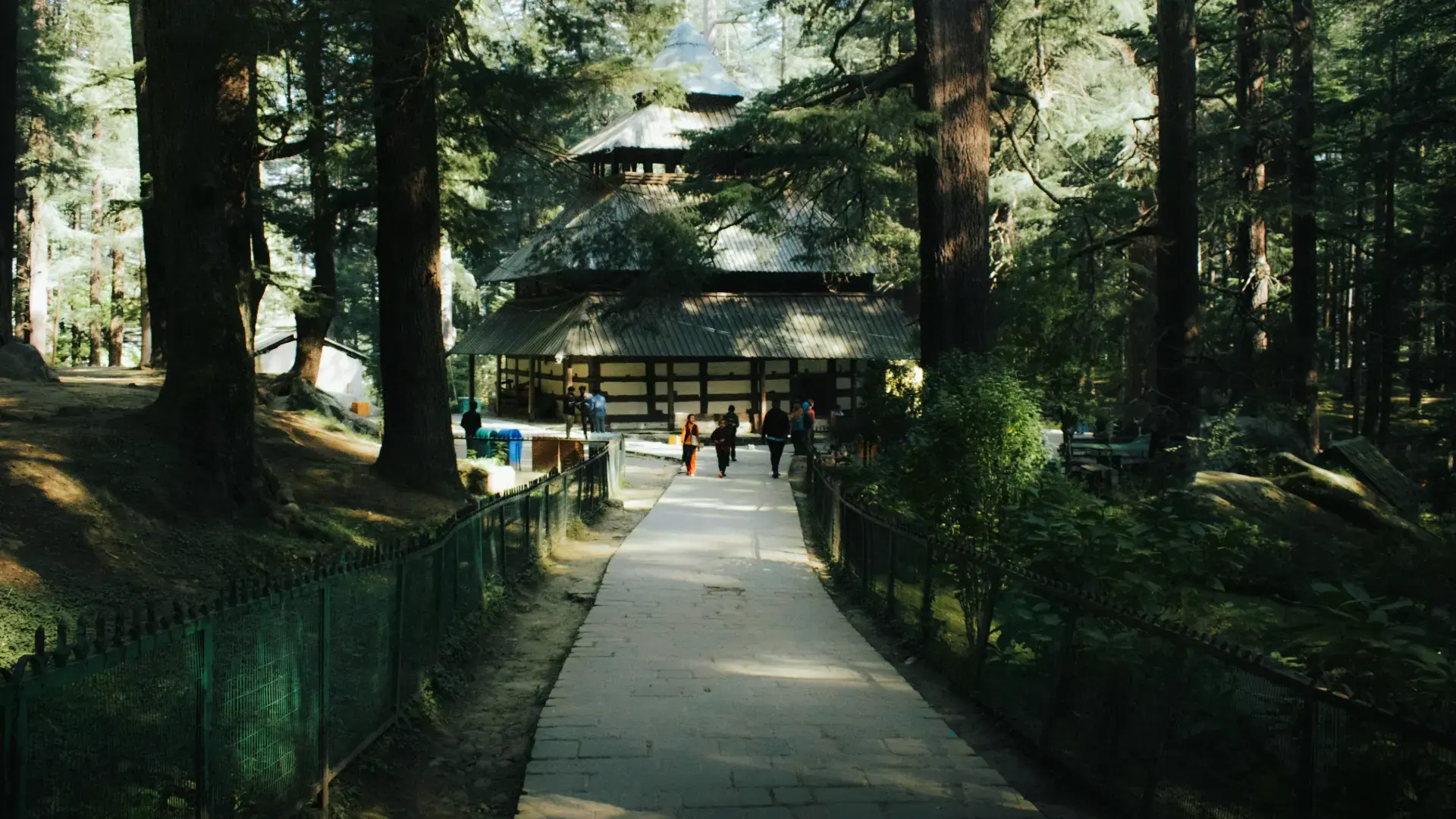 Gallery 5