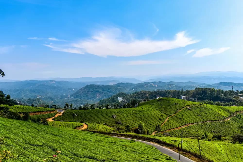 Kochi to Munnar – Into the Highlands
