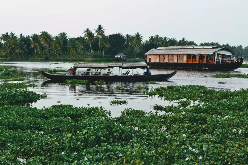 Thekkady to Alappuzha – Backwaters and Village Life