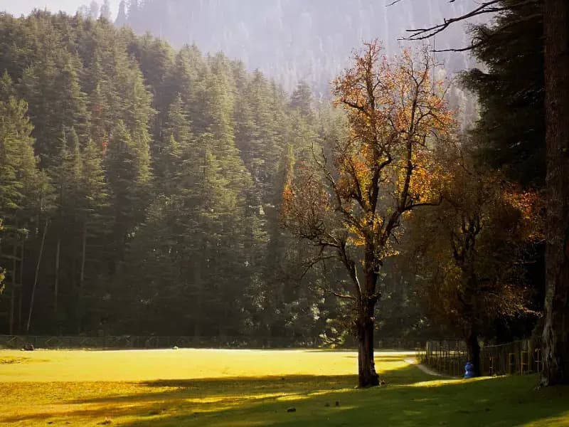 Dalhousie to Khajjiar Sightseeing