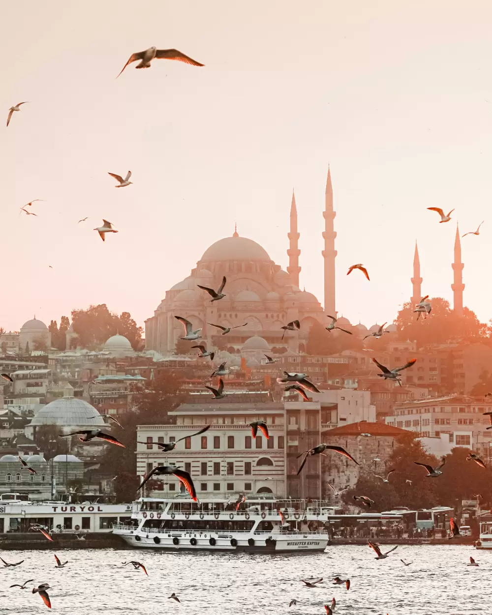 Turkish Delights - Signature Discovery