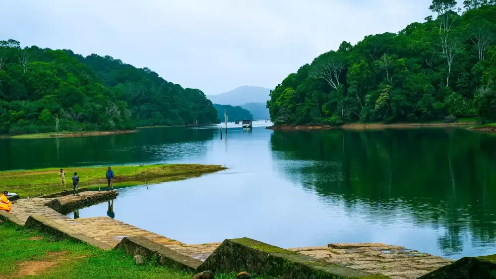 Thekkady – Nature and Local Experiences