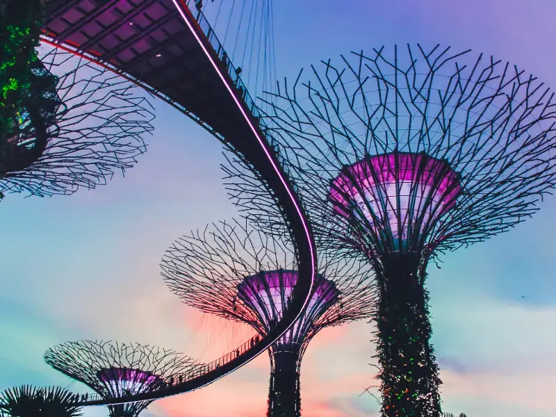 Arrival in Singapore & Gardens by the Bay