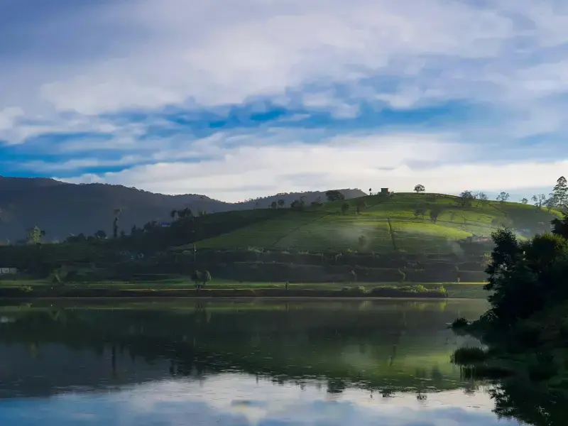 Botanical Gardens, Tea Country & Nuwara Eliya Charm
