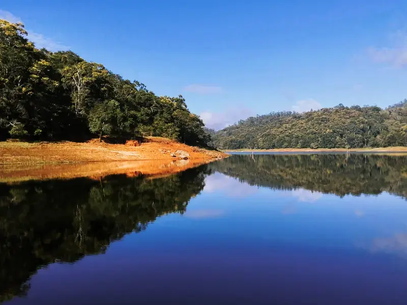 Transfer from Munnar to Thekkady