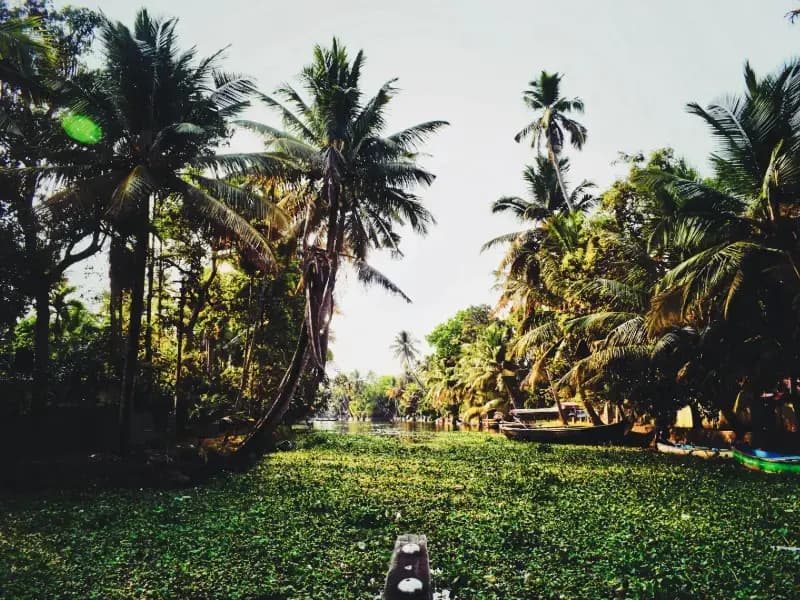 Transfer from Thekkady to Kumarakom