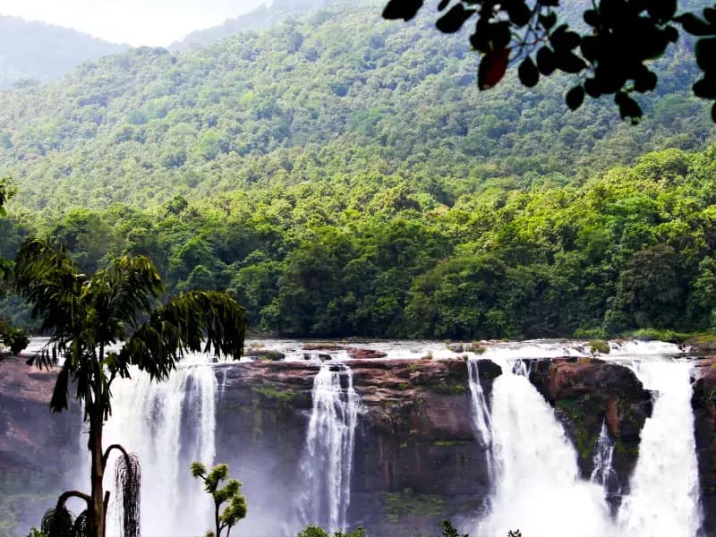 Transfer from Kumarakom to Athirappilly