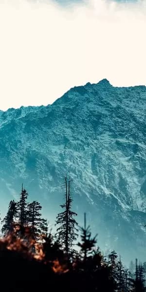 Himachal Slow Hills Retreat