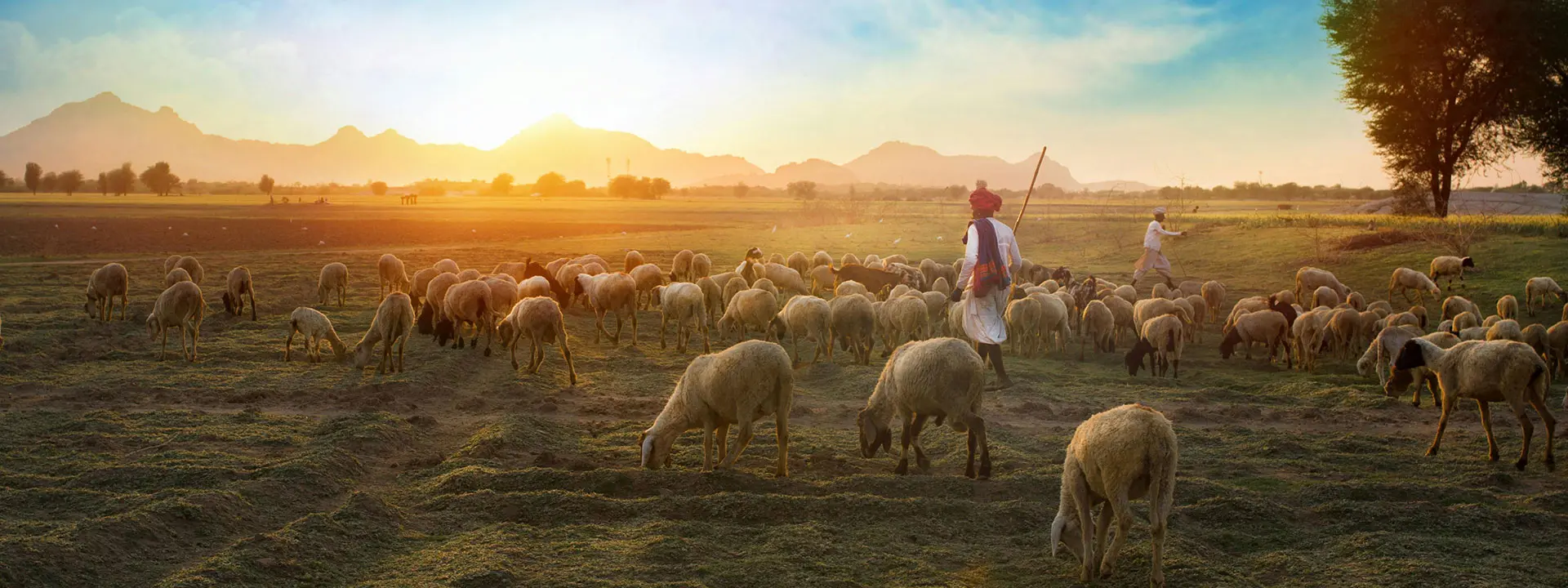 Royal Rajasthan – Culture and Heritage