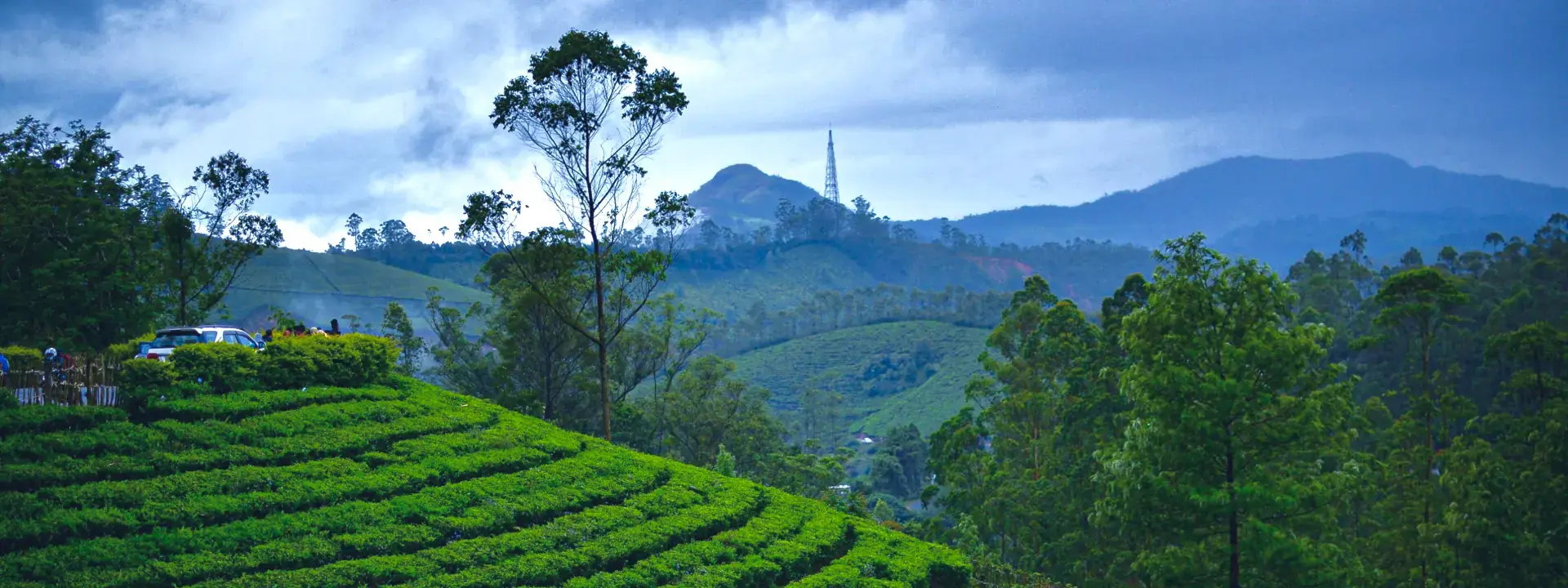 Classic Kerala Escape - From Misty Hills to Serene Backwaters