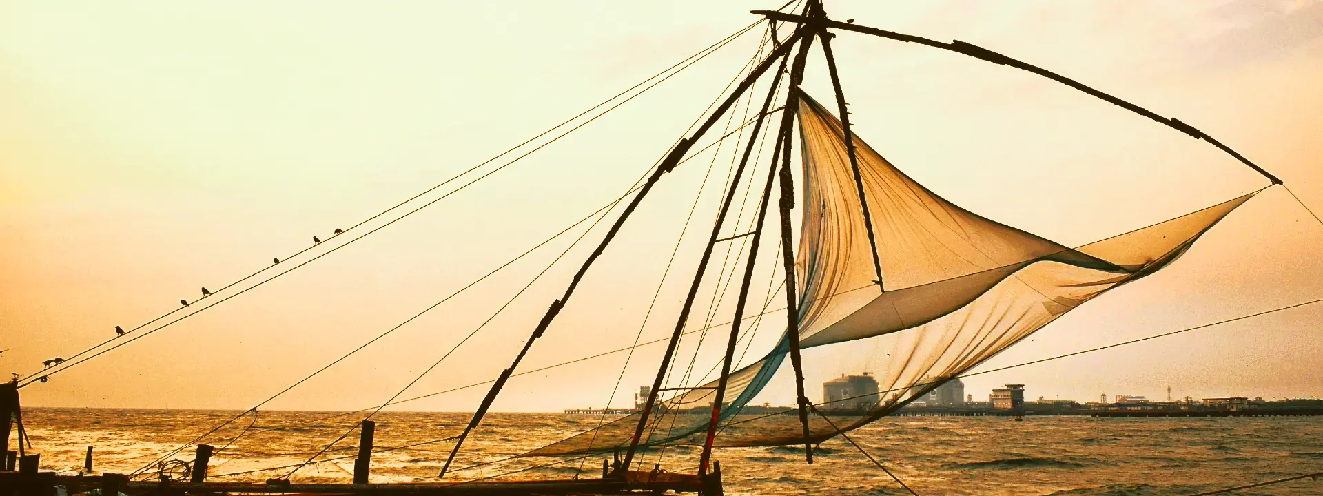 Kerala Lite - Waterfalls & Backwater Escape