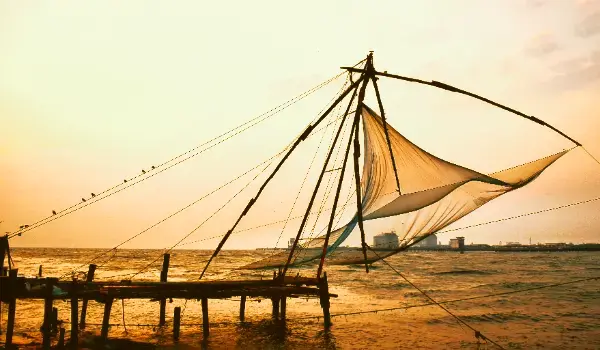 Kerala Lite - Waterfalls & Backwater Escape