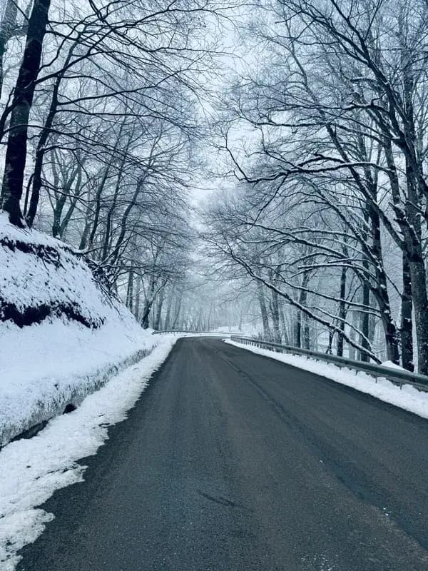 My First Snow Experience in Georgia : A Malayali Traveller's Journey from Abu Dhabi