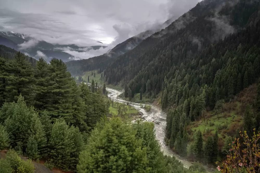 Kashmir: Beyond the Postcards