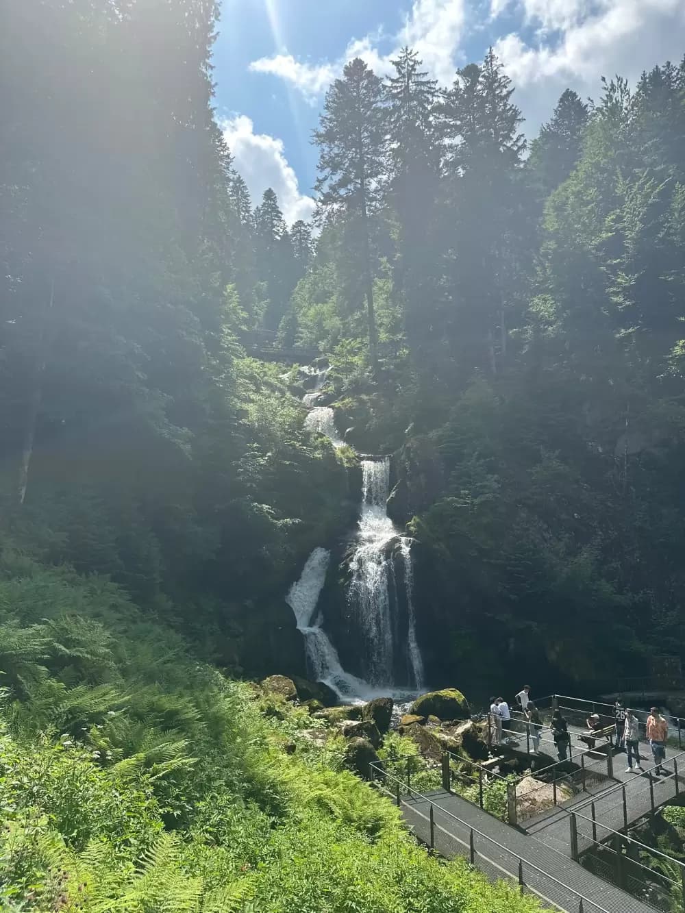 Black Forest – Lakes and Waterfalls